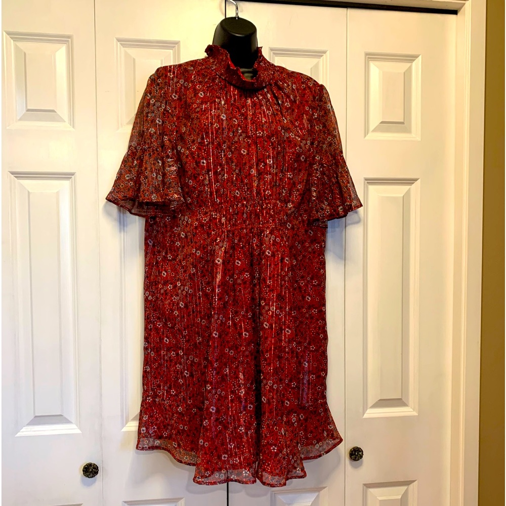 Anthropologie RANNA GILL Dress (size L)Color Red